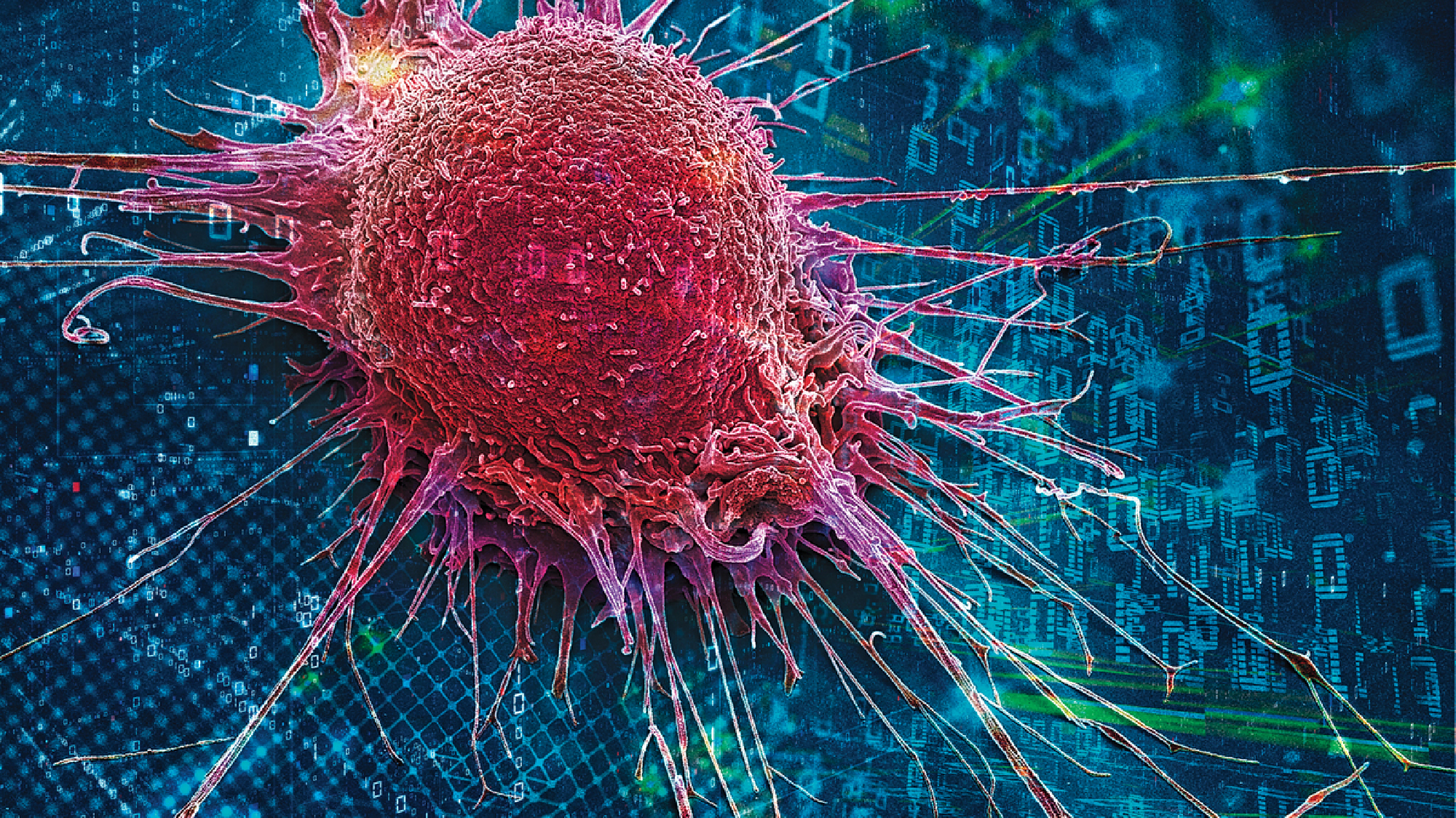 From Data to Decisions: Enhancing Cancer Care Through AI-Driven Insights